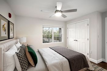 Ceiling fans*